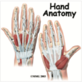 hand1 - Edmonds Orthopedic Center